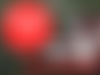 NFL Week 15 TNF Picks 49ers vs Seahawks