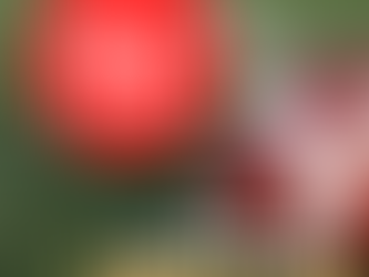 NFL MNF Picks Week 7 Bears @ Patriots