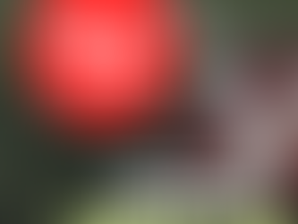 College Football Picks Saturday 10/29