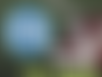 NFL TNF Picks Titans vs Packers 11/17