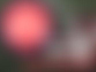 NFL Week 15 Picks Sunday 12/18