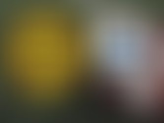 NFL Week 10 EARLY Bets Sunday 11/12