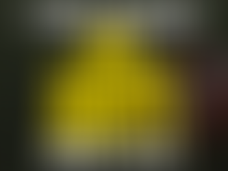 NFL Picks Sunday 11/21