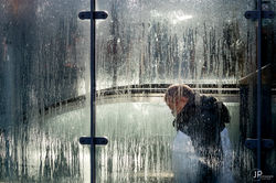 drops IMG_0170