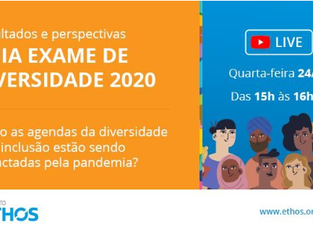 Diretora do Instituto Modo Parités comenta os resultados do Guia Exame de Diversidade