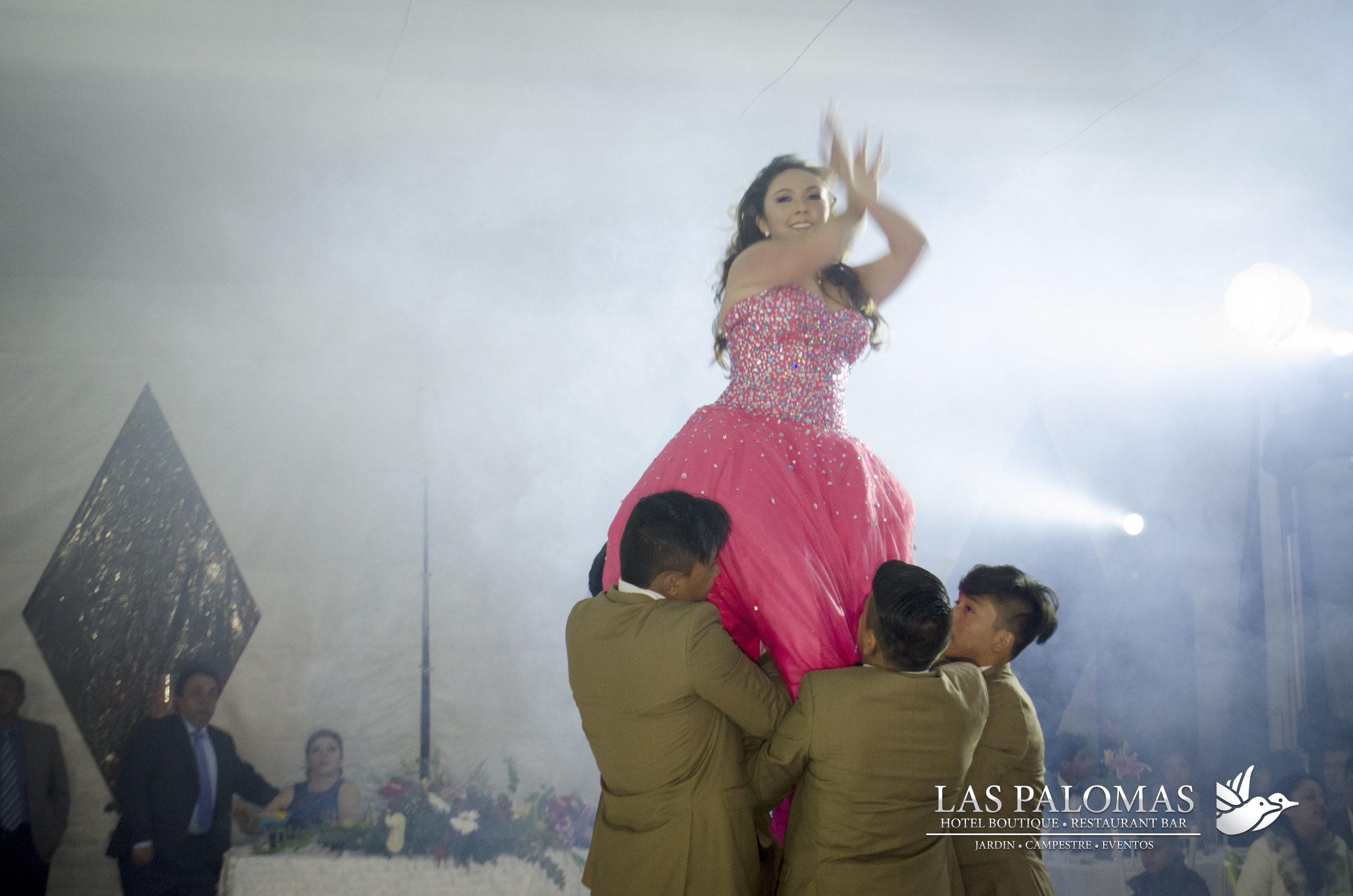 XV Ari.