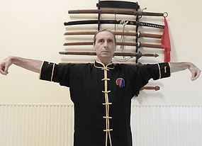 XING SHEN ZHUANG GONG - Shifu Costantino Valente - Nei Qi Gong