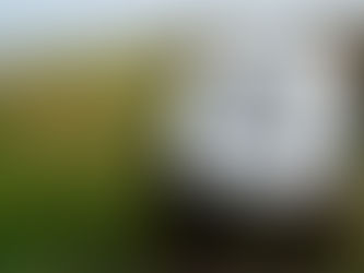 "Heading for a cliff edge ..."