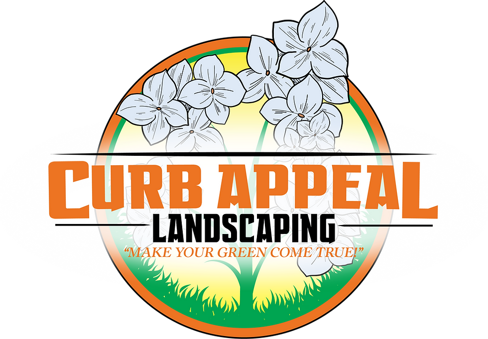 CurbAppeal_LOGO_FINAL_png.png