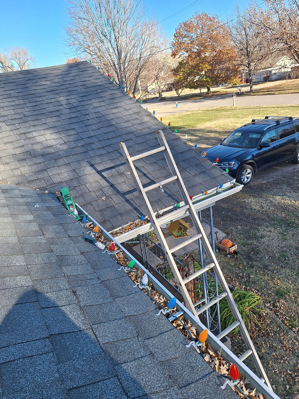 Gutter Cleaning Job