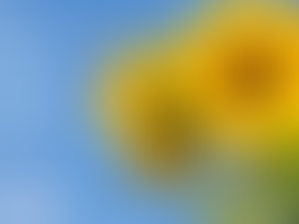 3 Steps to a Busy, Beautiful, and Organized Summer
