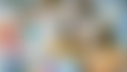 Wat kost het reizen nou eigenlijk?