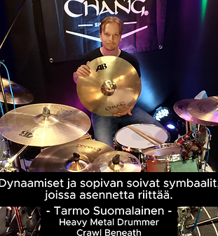 tarmo 11.png