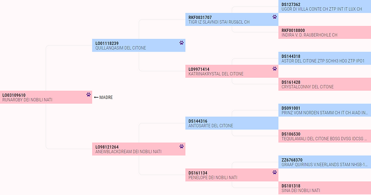 Image-empty-state.png