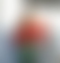 Flamenco Dancer with Damian Callan