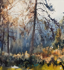 AB WS painting example 2.jpeg