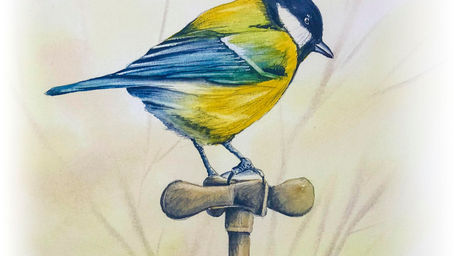 A Tit on a Tap with Matthew Palmer