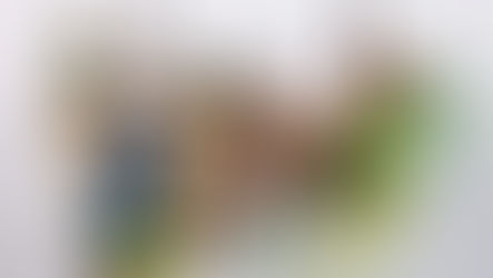 Sketch the Charles Bridge with Ian Fennelly