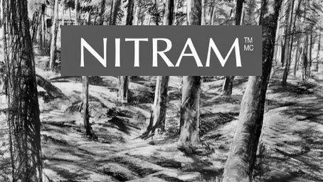 Light & Shade through Woodland Trees with Robert Dutton using Nitram Charcoal