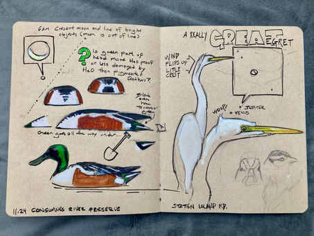 Journaling Nature with John Muir Laws