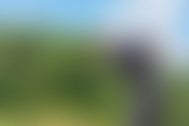 ゴルフで健康年齢を高める身体づくりフィットネス完全ガイド