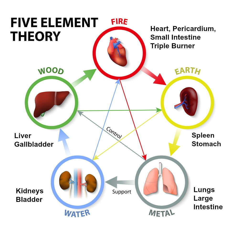 Five Element Cycle theory in TCM