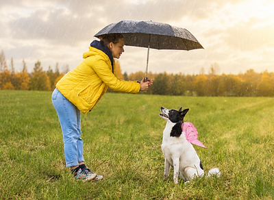 Woman holding an umbrella over a dog in the rain