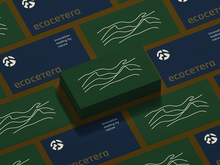 O que Toda Identidade Visual Precisa ter ?Os 6 Elementos Essenciais