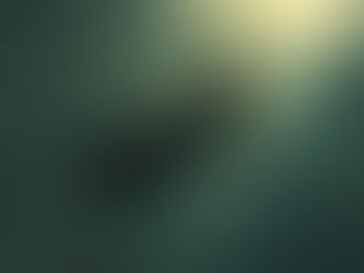 The Art Of Surrender 