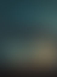 What The Storm Leaves Behind