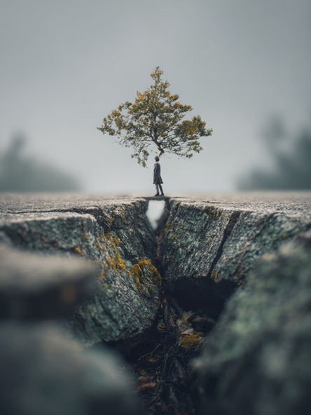 Resilience