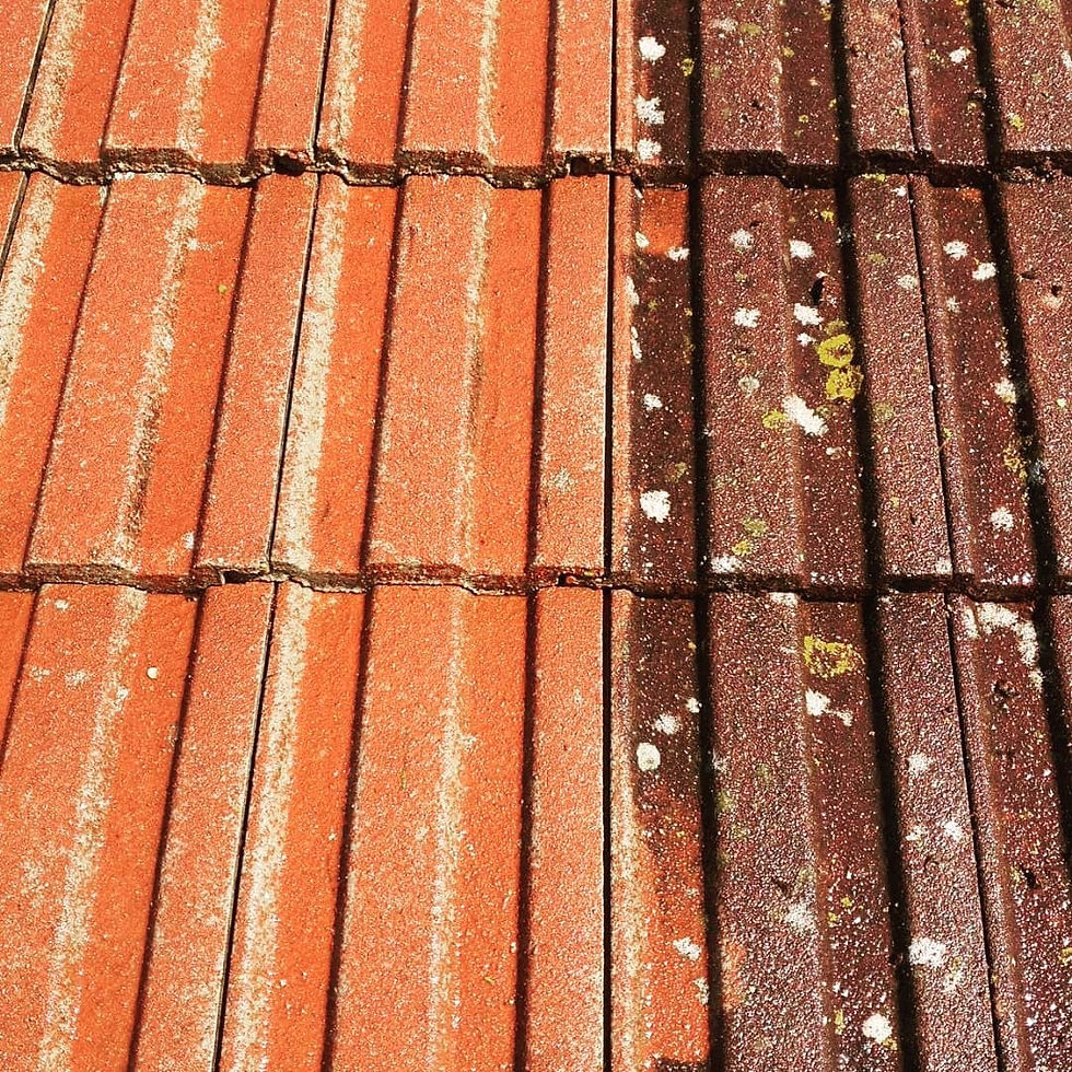 Thumbnail: Roof tile clean or clean and paint