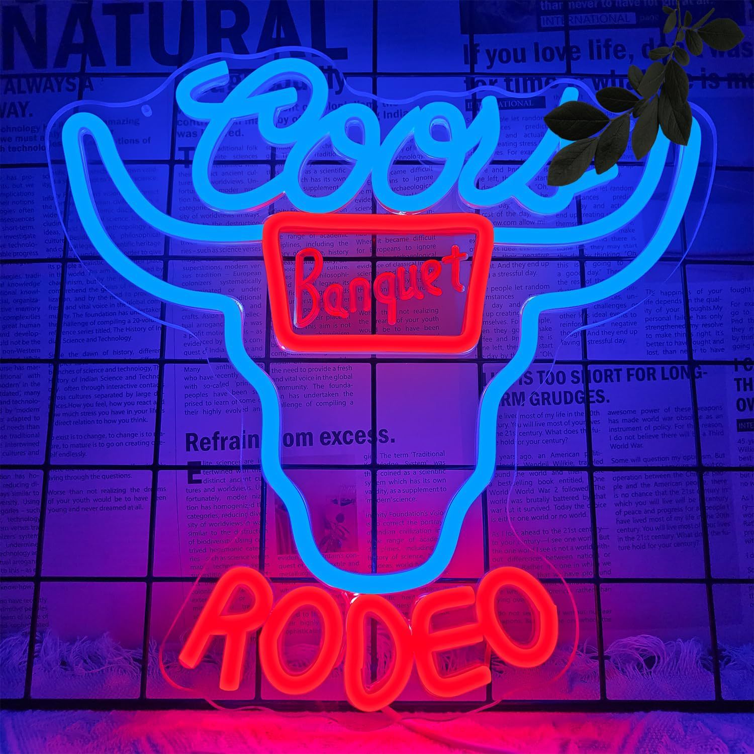 Adjustable LED Neon Decorative Lights view 12