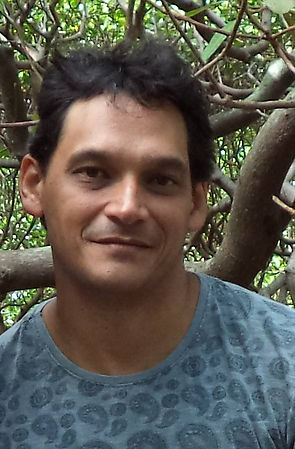 professor Domingos.jpg