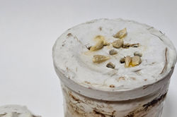 20240401_045038_edited