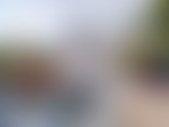 Netherlands Family Tour