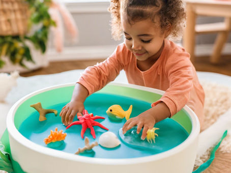 Exploring Seashore and Sea Creature