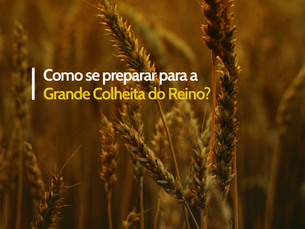 Como se preparar para a Grande Colheita do Reino?