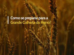 Como se preparar para a Grande Colheita do Reino?