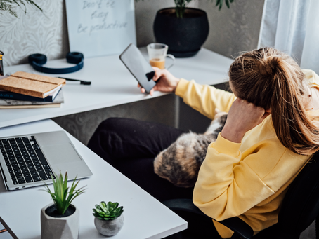 I know what to do to succeed so why don't I do it?