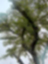 KIMG20260521_143634247.JPG