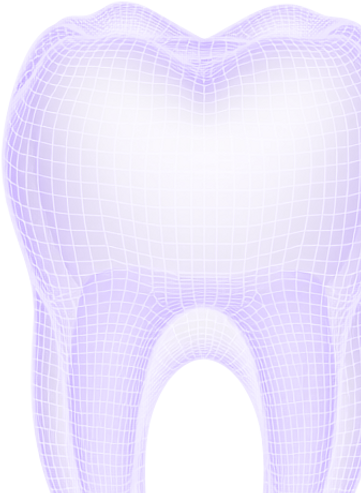 Tooth