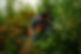 greenhouse6.jpg