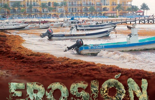 Erosión, producción independiente de Playa del Carmen, gana como mejor documental de Medio ambiente