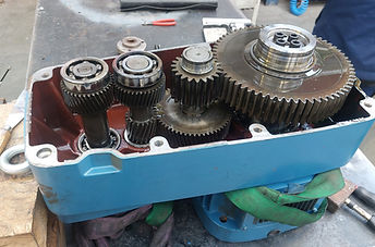 20241001_084951.jpg