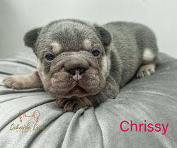 Girl - Available