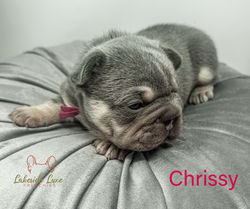 Girl - Available