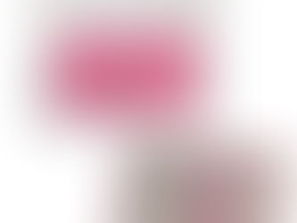 旅行にはトラベルジュエリー（１）ジュエリーケース編