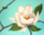 magnolia3
