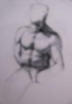 male_torso